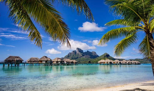 остров, курорт, отдых, пальма, бунгало, зеленые, синие, голубые